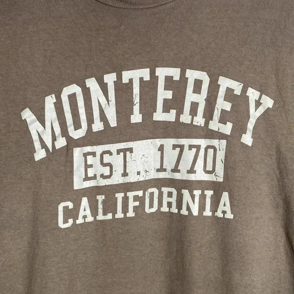 Monterey California Delta Pro Weight T-Shirt Gray Medium - Picture 2 of 4